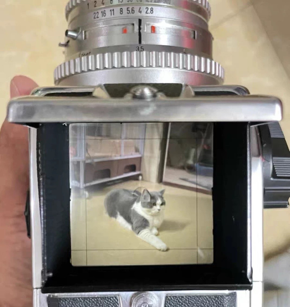 Large 45 Degree Split Image Bright Focusing Screen For Hasselblad 501CM 503