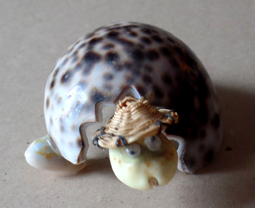 Vintage Small Distressed Seashell Turtle Figurine