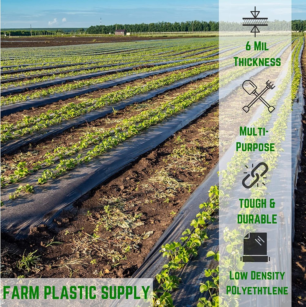 Poly Cover - 6 Mil Black Plastic Sheeting