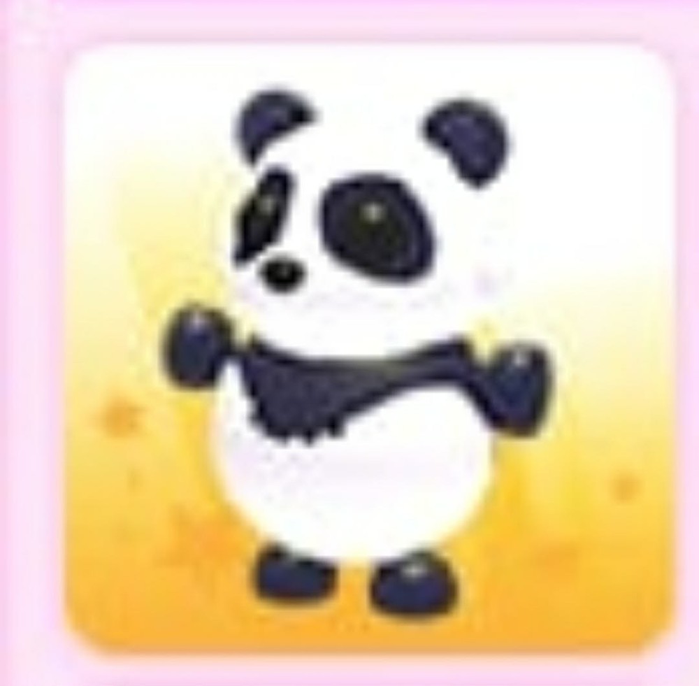 Giant Panda | Adopt Now