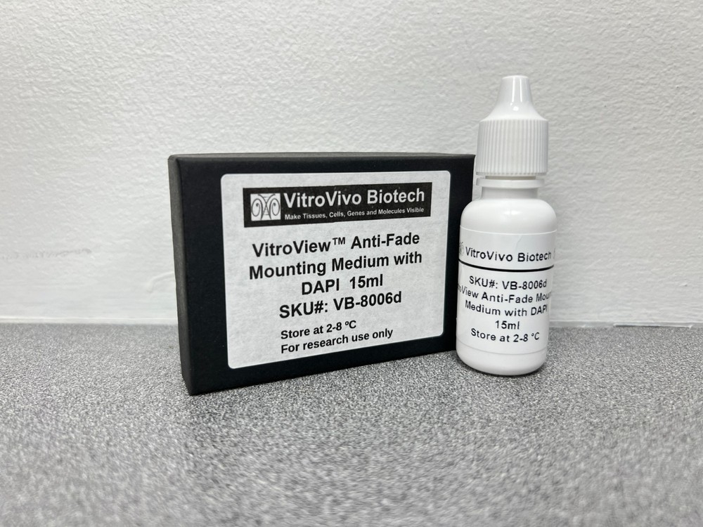 VitroView™ Aqueous Anti-Fade Mounting Medium with DAPI (Ready-to-Use, VB-8006d)