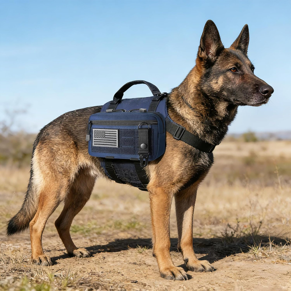 Tactical Molle Admin Pouch Utility Laser Cut EDC Tool Pouch Bag Horizontal Modul