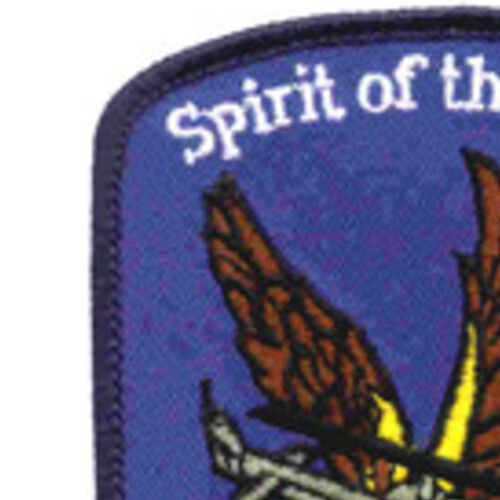 6th Battalion 101st Aviation Regiment Patch