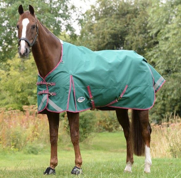 Weatherbeeta Comfitec Plus Dynamic II Standard Neck Turnout Lite