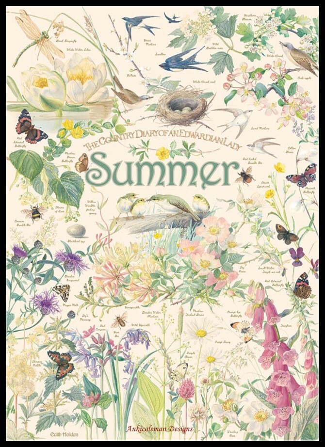 Country Diary Summer - Chart Counted Cross Stitch Patterns Needlework DIY DMC