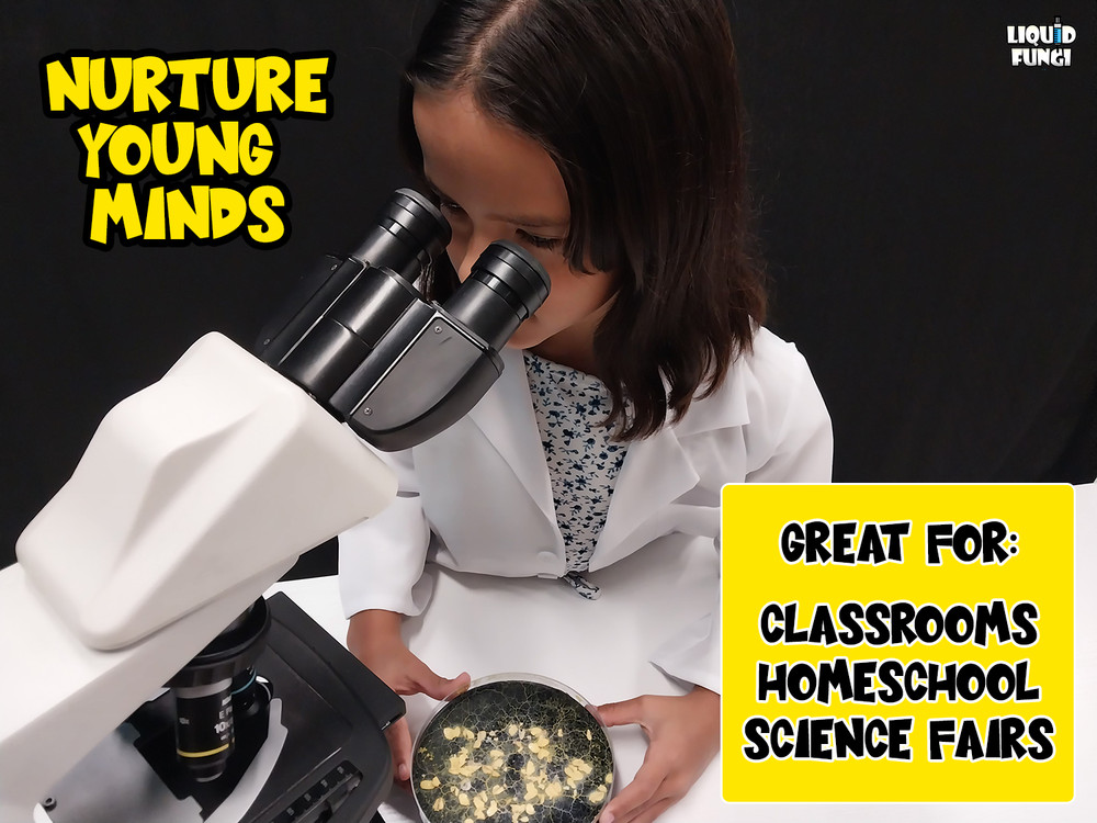 Slime Mold Educational Science Kit, Physarum polycephalum Study Project