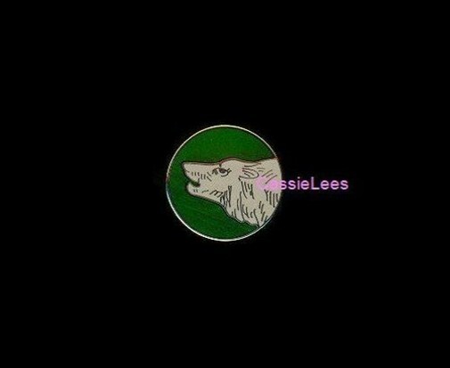 USA 104th Inf. Div. + a custom promo pin