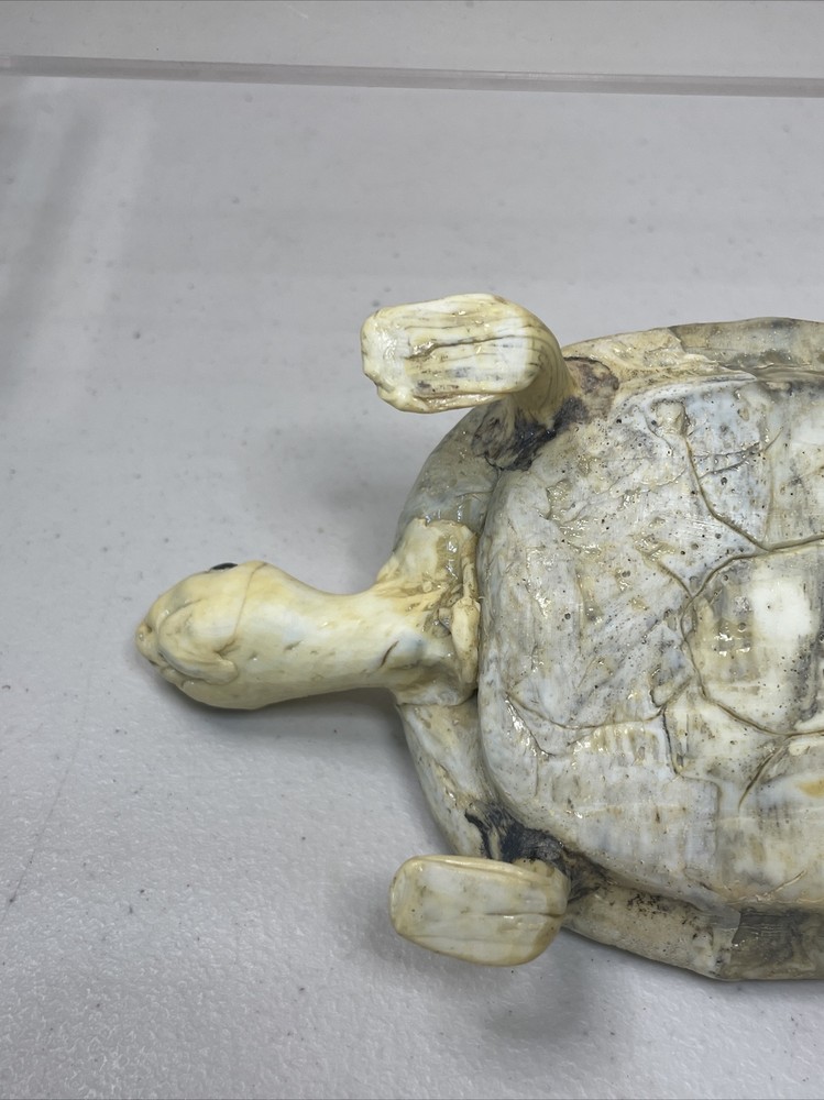 Handmade Pottery Turtle Figure Marbled Color