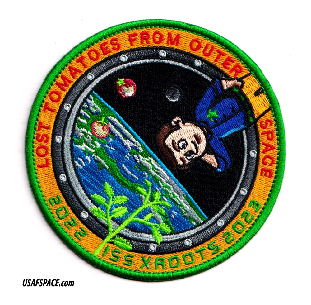 LOST TOMATOES FROM OUTER SPACE-ORIGINAL -AB Emblem Tim Gagnon-NASA SPACE PATCH
