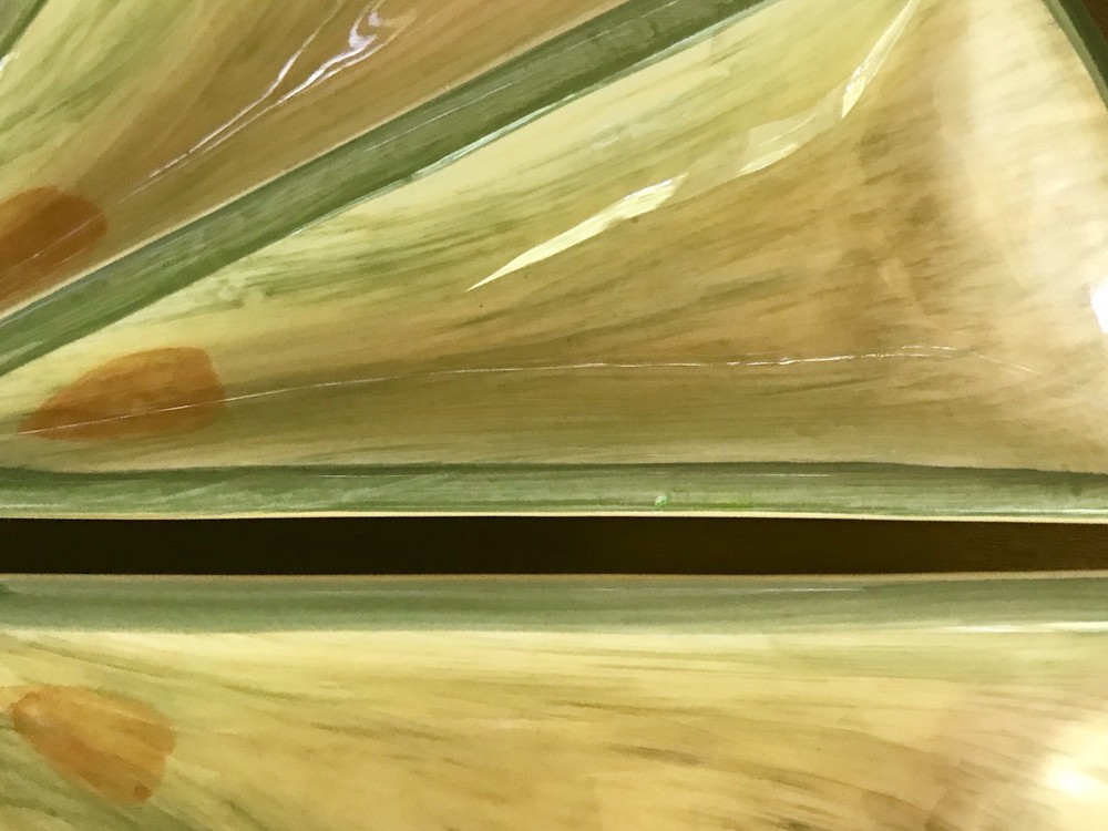 Everyday Gibson Hand Painted Sectioned Tray - Lime Lemon