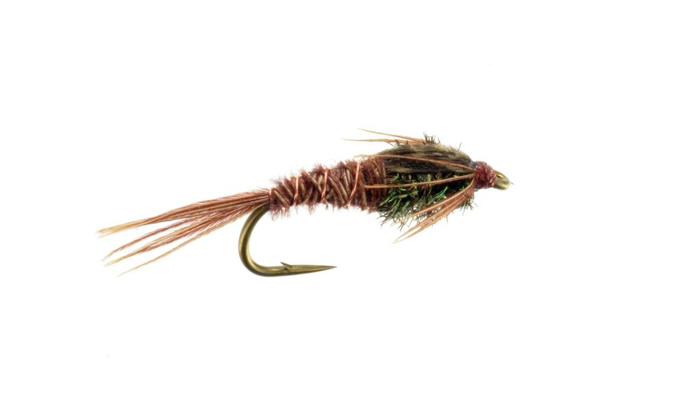 10  pheasant Tail Nymph #10,12,14
