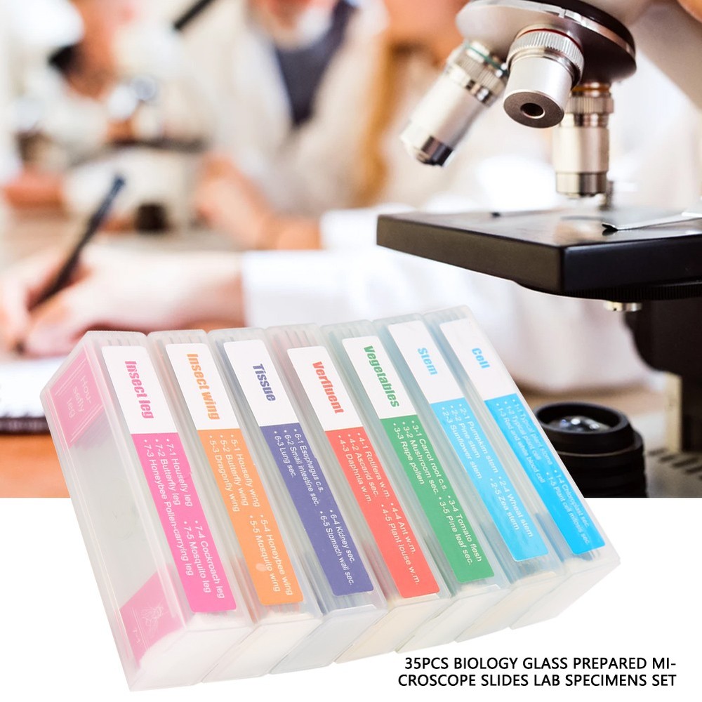 35pcs Biology Glass Prepared Microscope Slides Lab Specimens Set