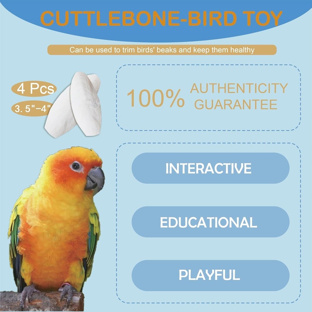 Natural Cuttlebone Pack for Bird Calcium & Beak Health