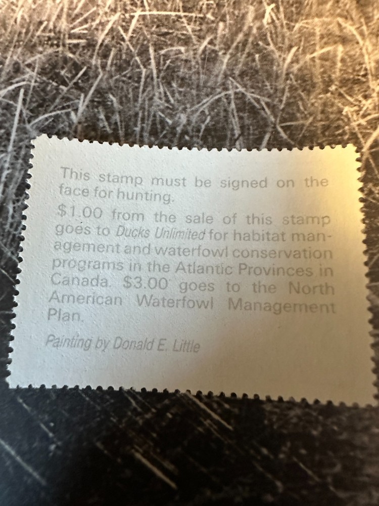 1993 Massachusetts State Duck Stamp,