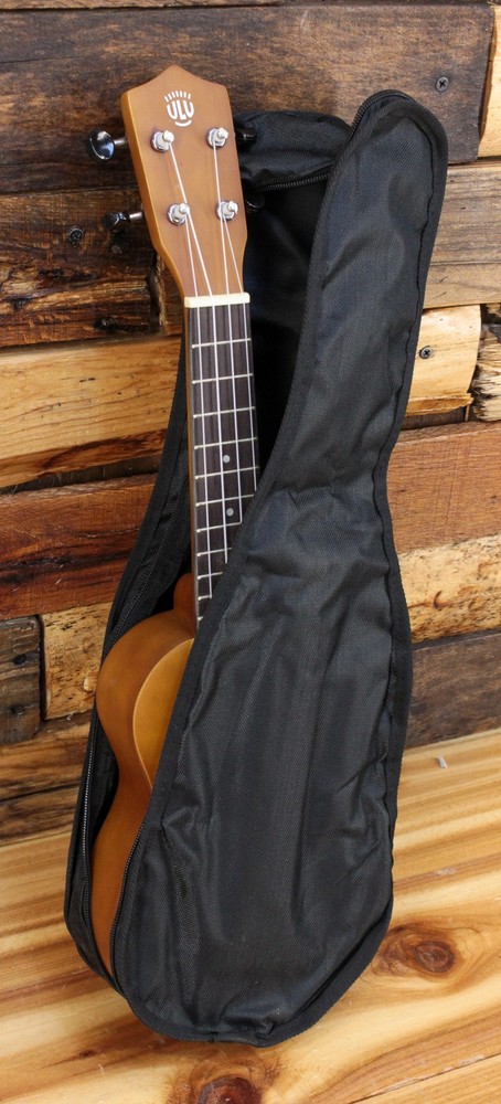 eMedia Mahogany Ukulele Pack with Lessons Natural