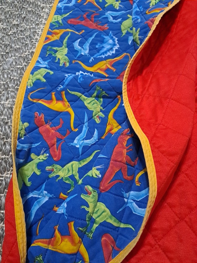 Kids Dinosaur Pattern Nap Mat