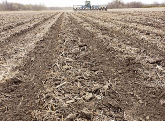 Yetter Poly Spike Wheels, Complete Set | 6200-005