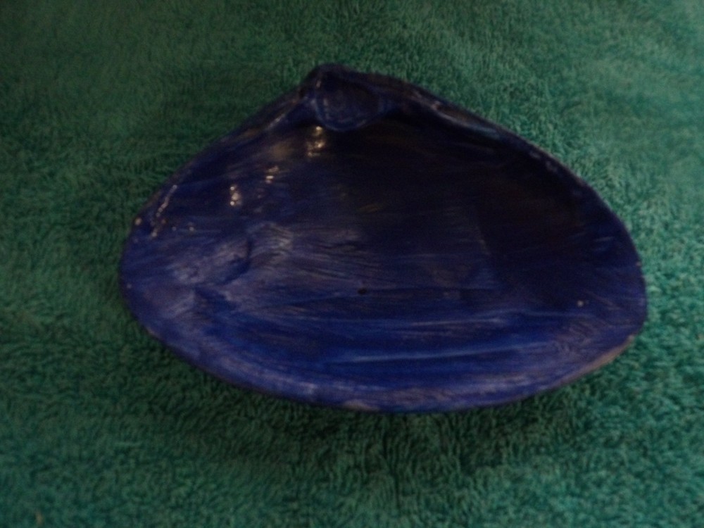 Magic By The Seashell, Enchanted & Powerful Seashells, You Choose Color & Intent