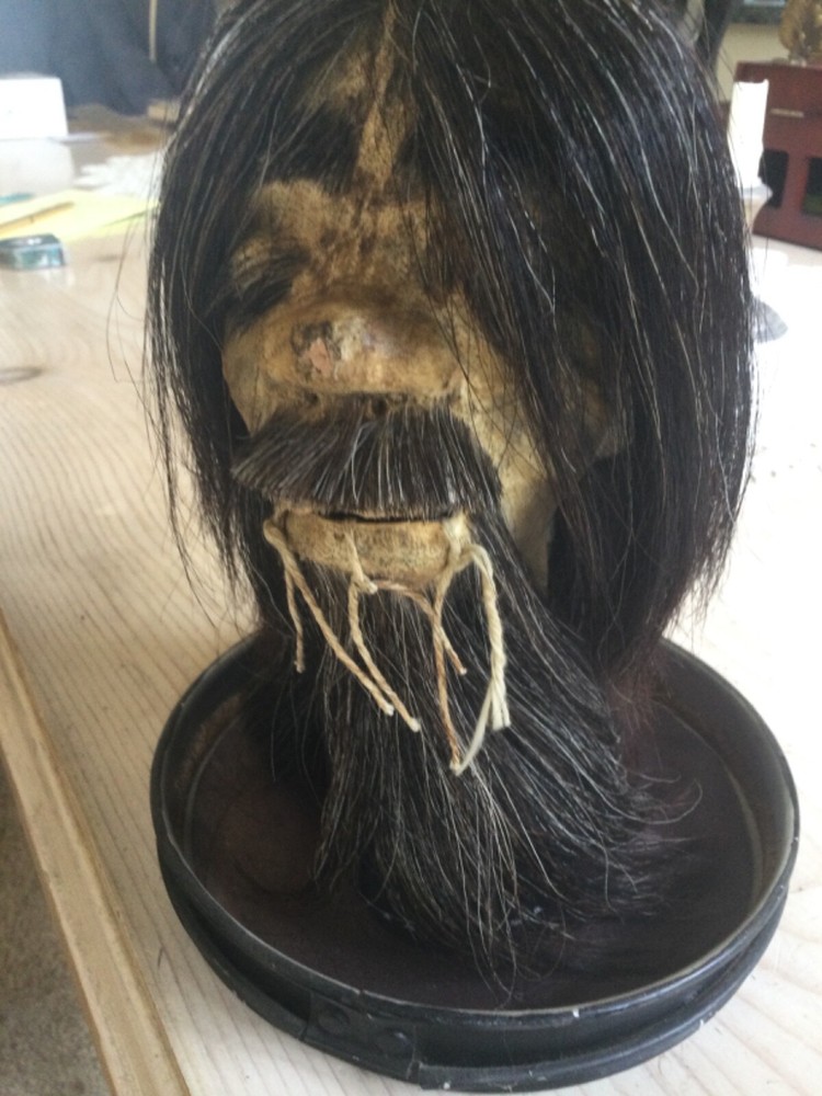 RARE Classic "Shunken Head" from Ecuador