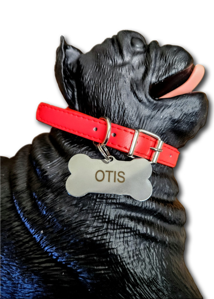 Otis the CPR Dog