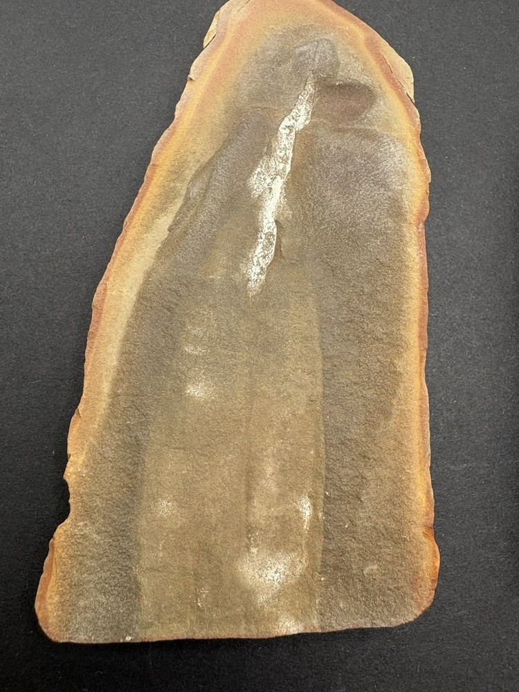 Mazon Creek- “Tully Monster” - Tullimonstrum gregarium- Pit 11