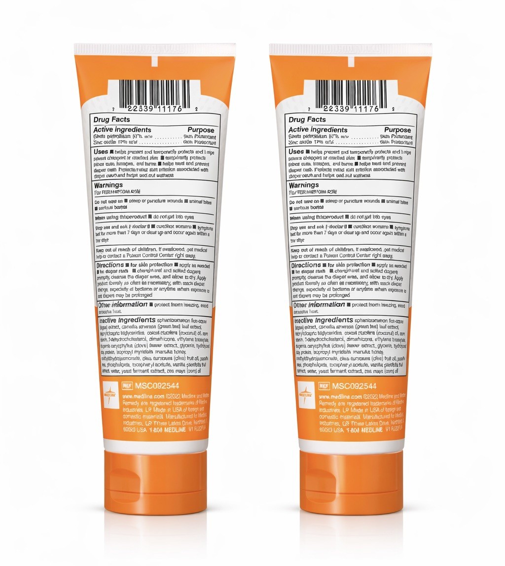 Medline Remedy Zinc Oxide Paste Skin Protectant, Vanilla Scent, 4 OZ, 2 pack