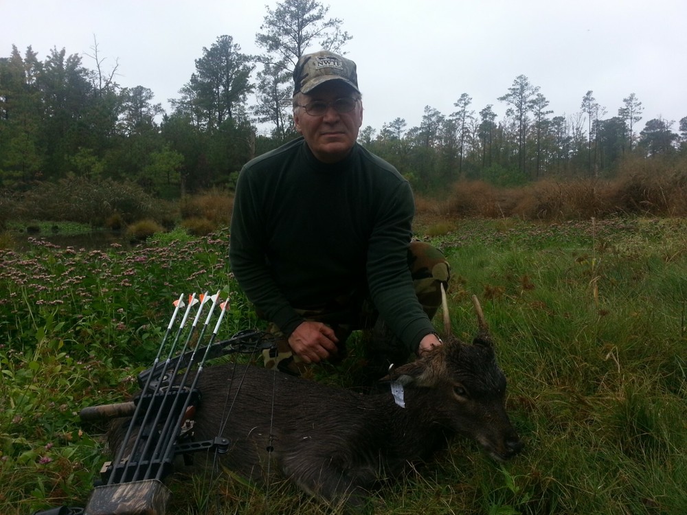 Sika Screamer Bugle Call ( Free Shipping)