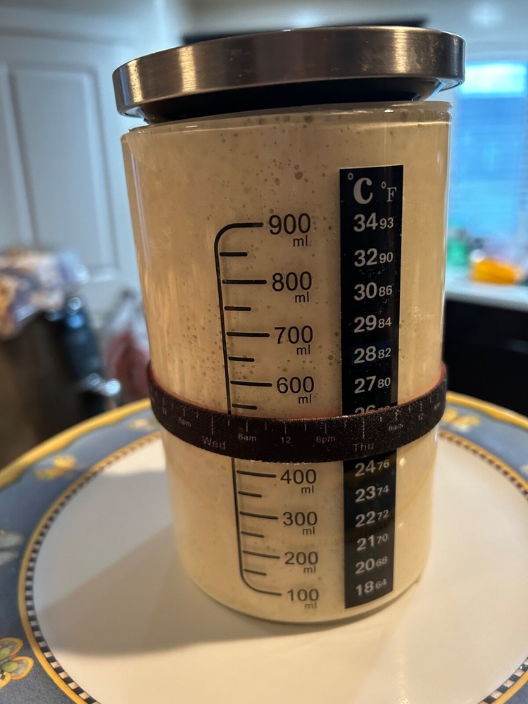 Dehydrated Sourdough Starter