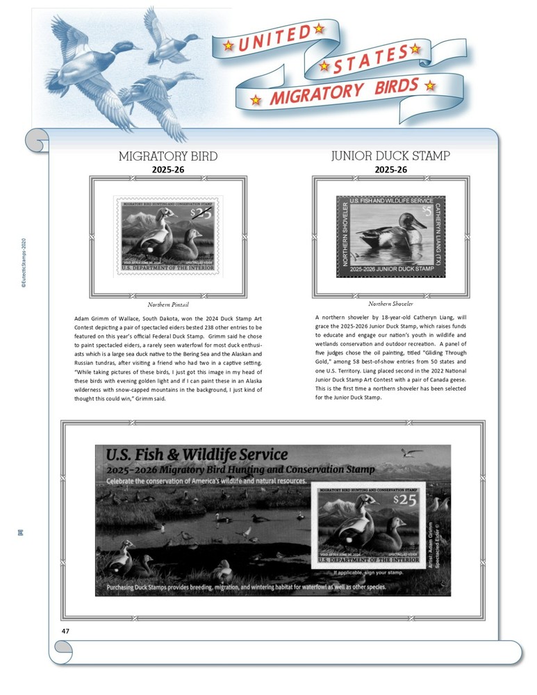 U.S. Federal Duck Stamp Supplement 2025-26 (White Ace Alternative)