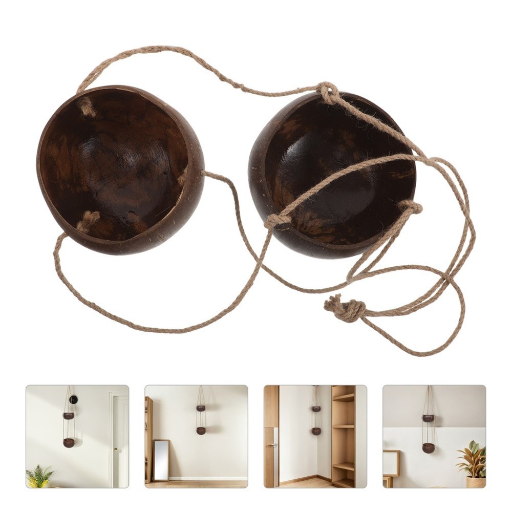 Coconut Shell Flower Pot: 2-Tier Hanging Wall Planter - Coconut Shell Planter