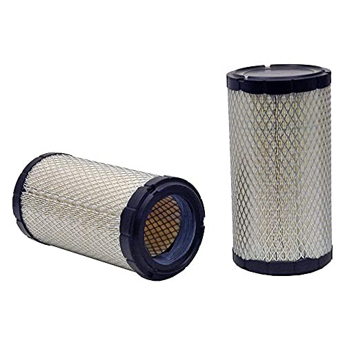 Radial Seal Air Filter - 49295