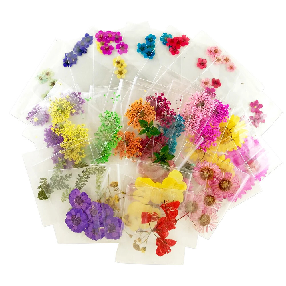 [DDP] 10Packs Pressed Flower Assorted Styles Dried Flower