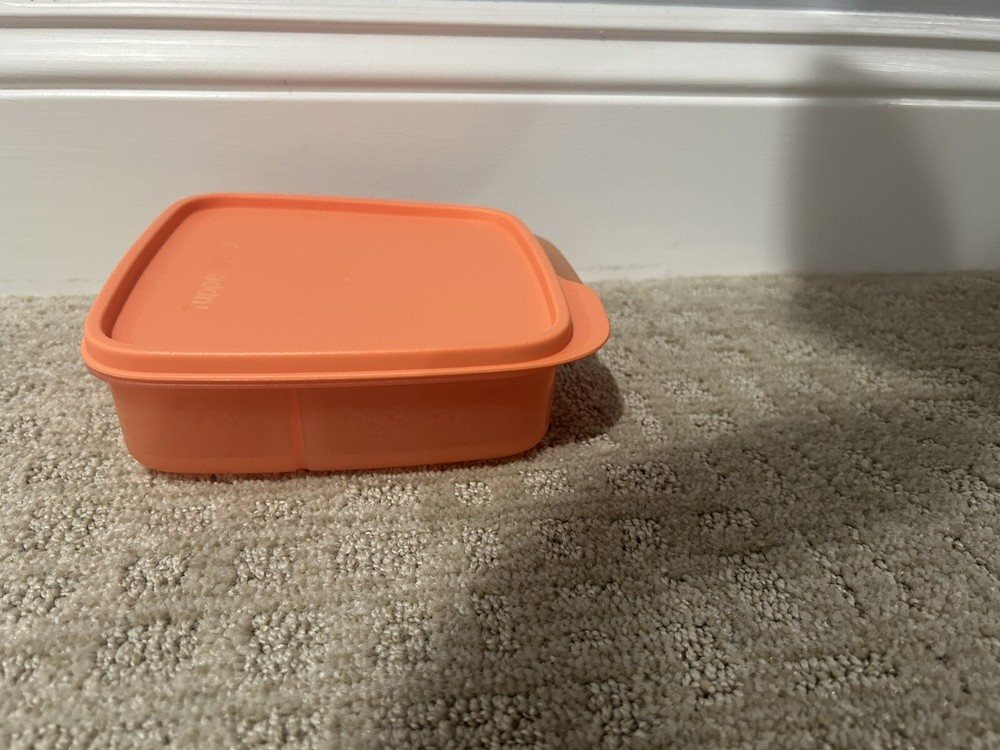 Tupperware Eco Lunch-It Divided Container New