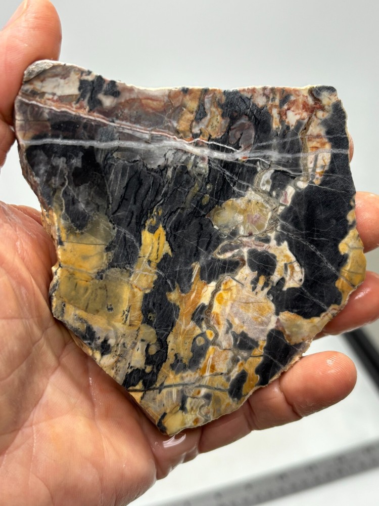 Large Roan Leopard Marble Rough Slab Cabbing Lapidary Combo Ship Avail