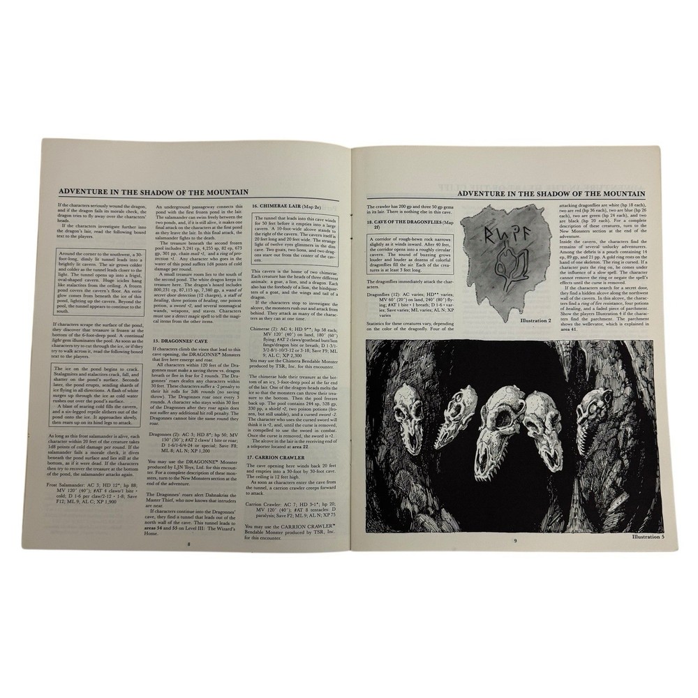 TSR Basic D&D Quest for the Heartstone VG