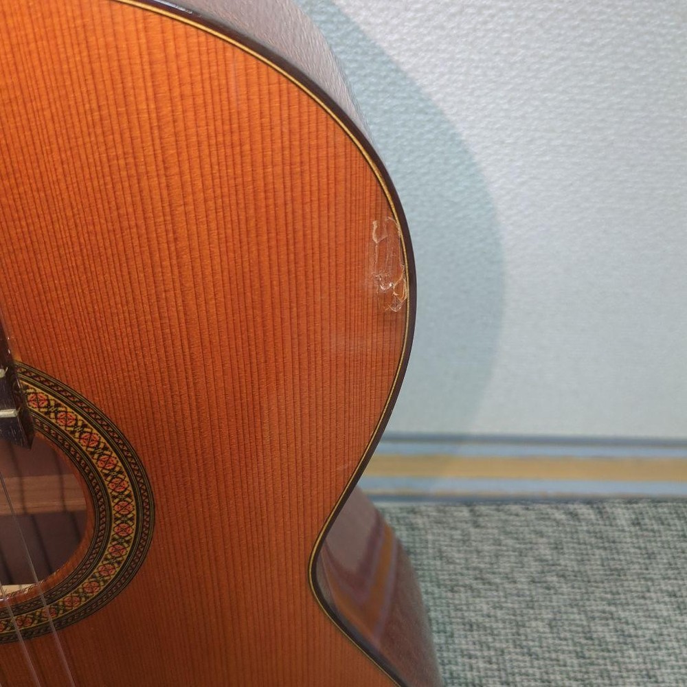 Aria AC25 Classical Guitar Practice Concert with Soft Case