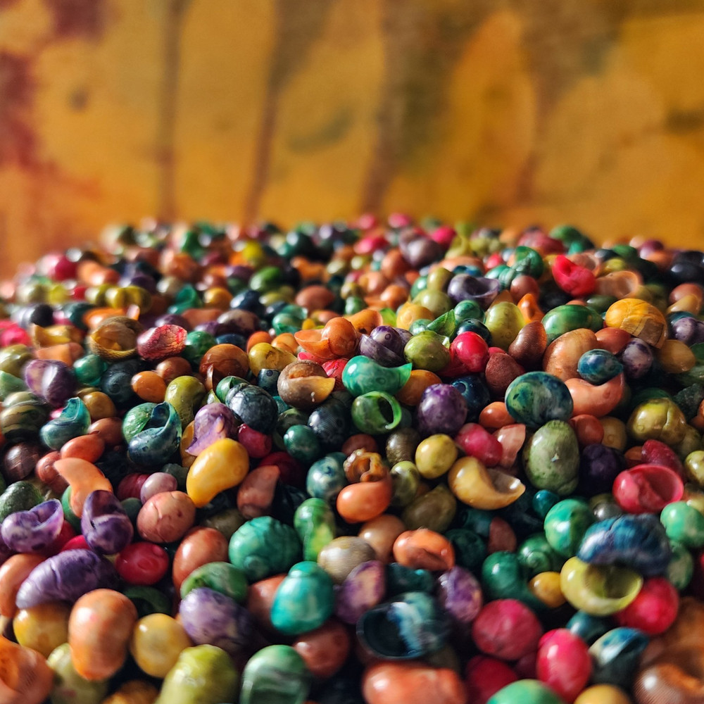Tiny Dyed Shells Craft Supply Assorted Colors 100g Bag 6–9mm