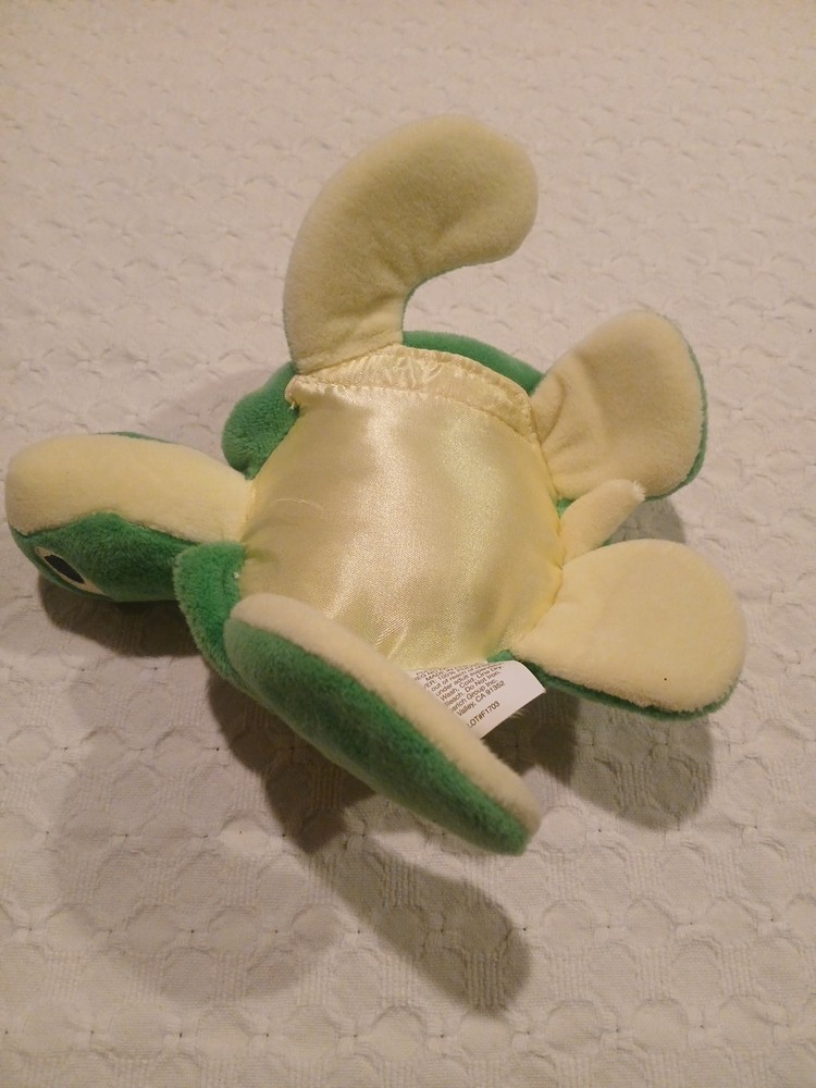 Endangered Species Turtle