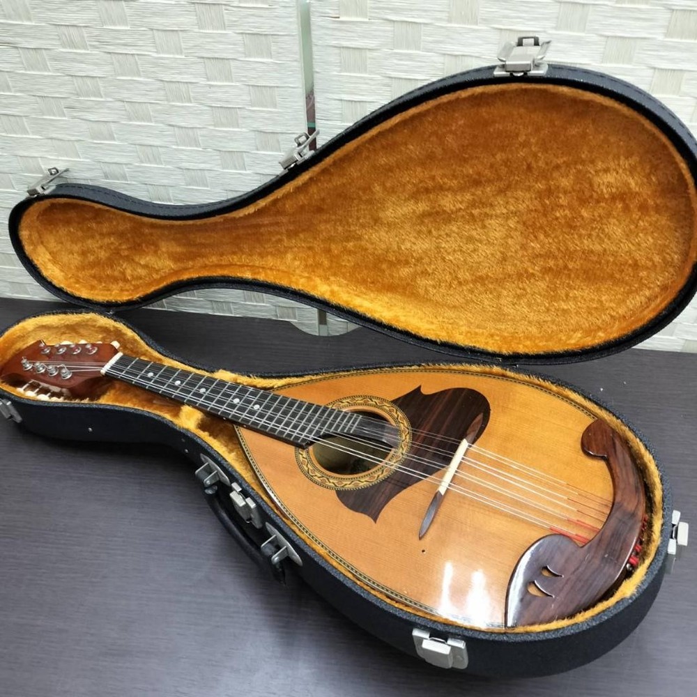 ◇Mandolin SUZUKI M-215 with hard case