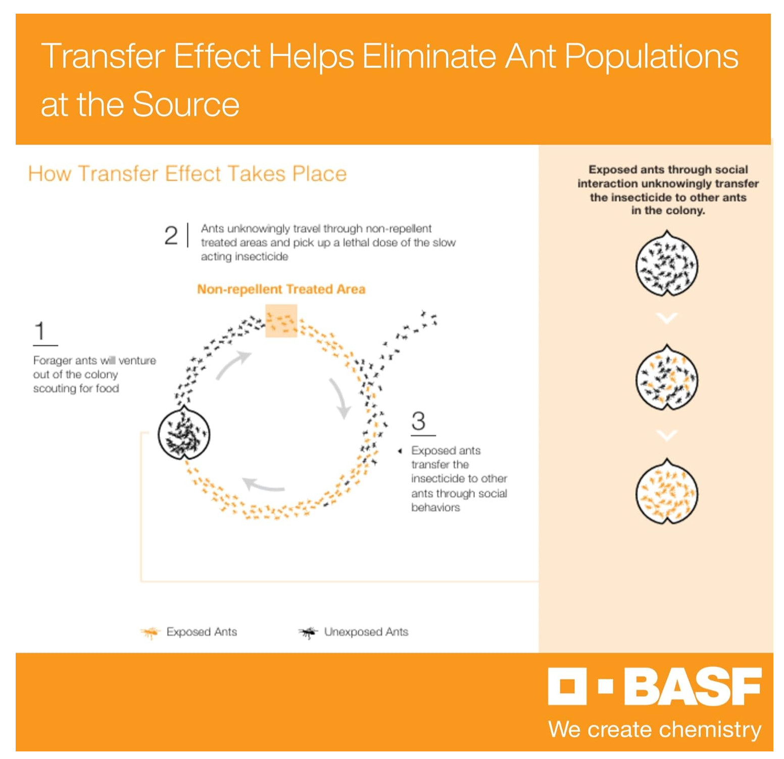 BASF Alpine WSG Water Soluble Granule Insecticide, Indoor Outdoor Pest Control