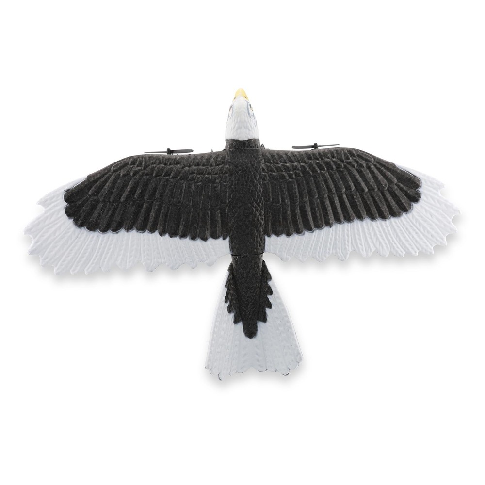 Bald Eagle R/C 2.4GHz Remote Control Airplane