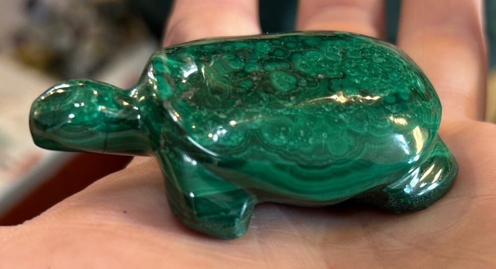 2” Malachite Turtle