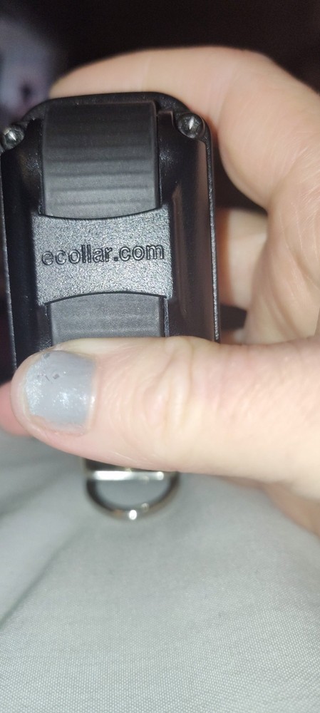 MINI EDUCATOR ET COLLAR -RX–090