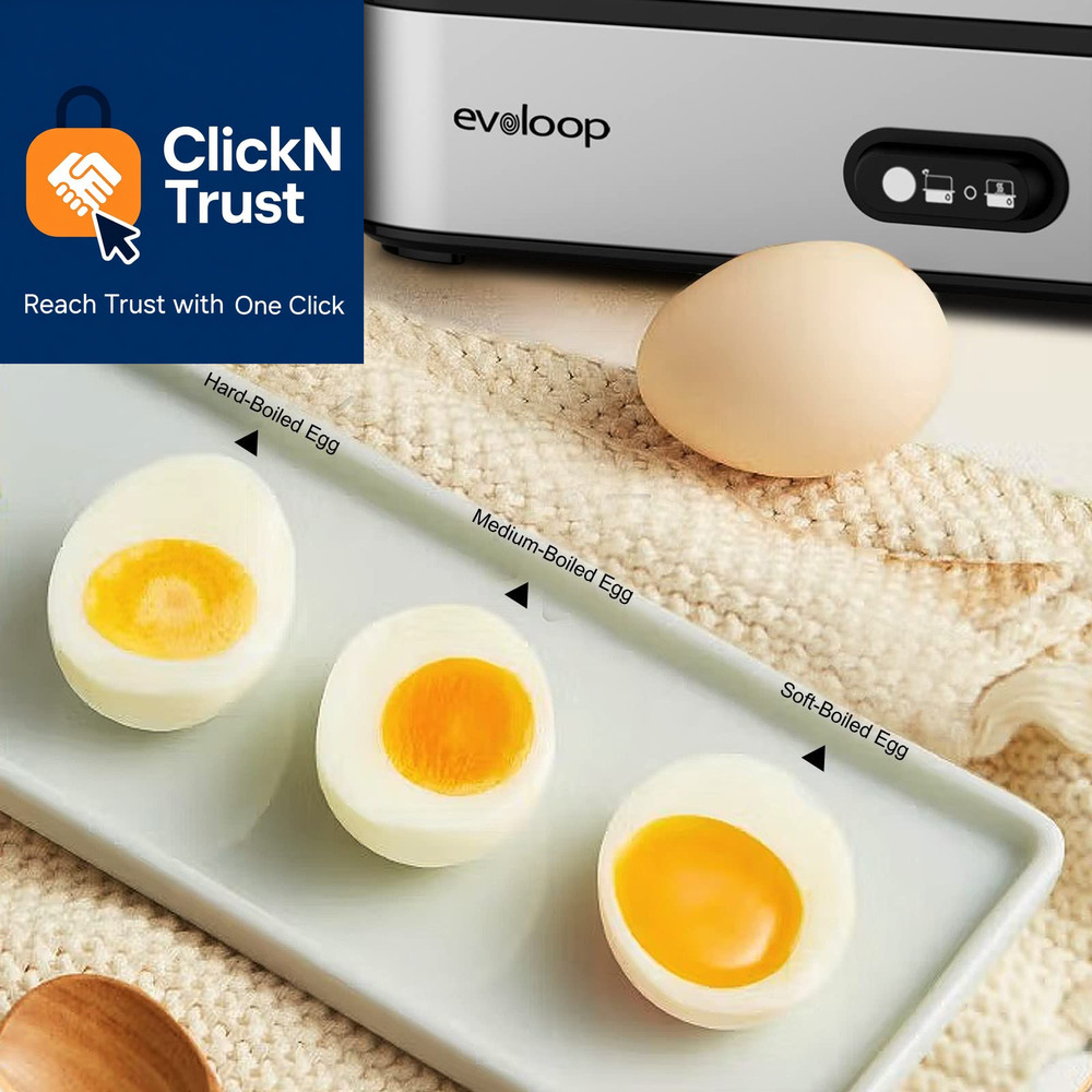 Evoloop Rapid Egg Cooker Electric 6 Eggs Capacity, Soft, Medium, Hard Silver