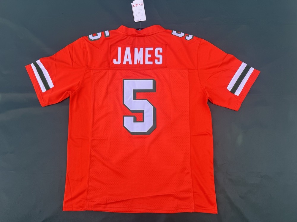 Miami Hurricanes Edgerrin James Jersey Large