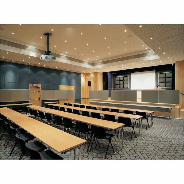 Peerless Industries Prg-Unv Ceiling Projector Mount, 50 Lb. Capacity