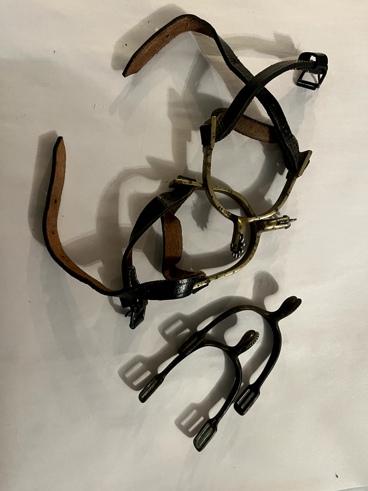 Vintage Spurs -