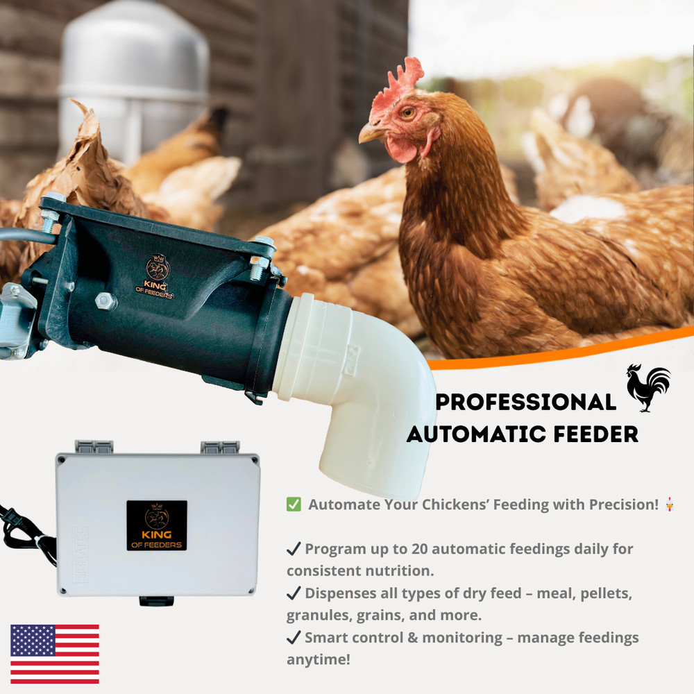 Chicken & Turkey Automatic Feeder – Dispenser System for Multiple Birds