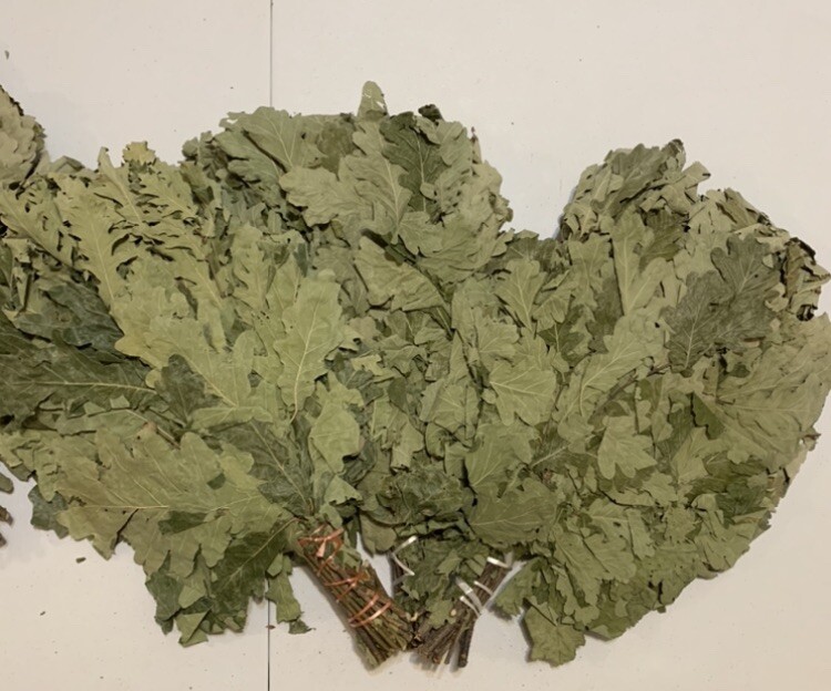 oak brooms / Дубовые веники для бани / Свежие / Fresh