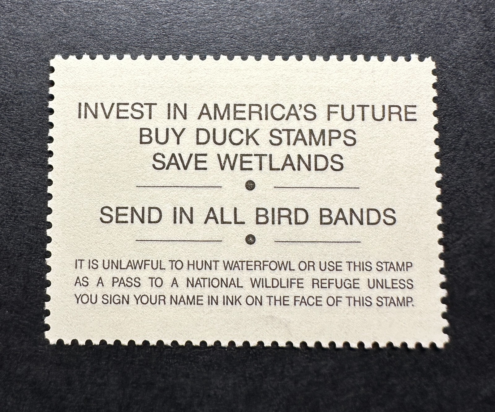 WTDstamps - #RW62 1995 - US Federal Duck Stamp - Mint OG NH